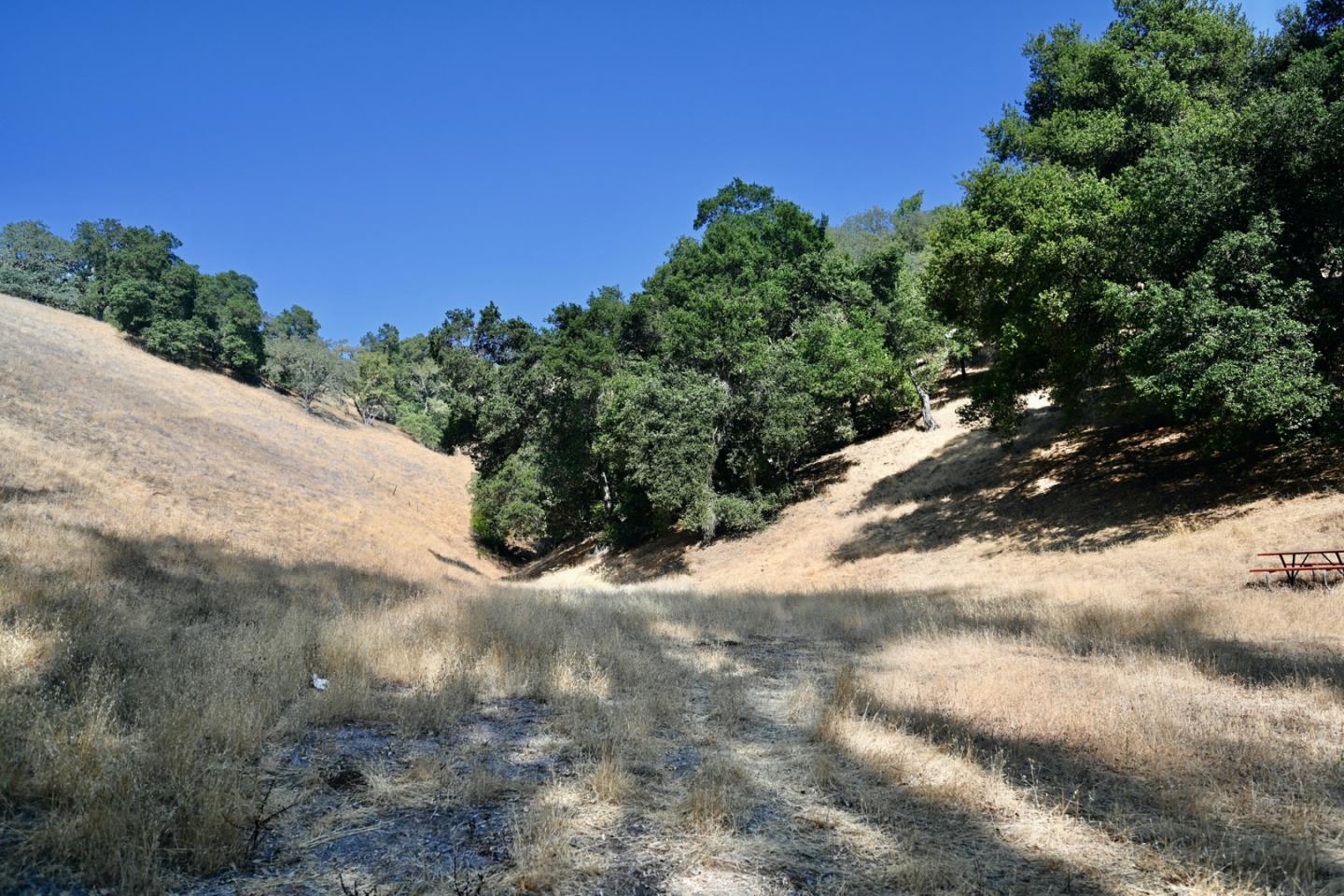1860 Llagas Road, MORGAN HILL, California 95037, ,Lots And Land,For Sale,Llagas Road,40965769