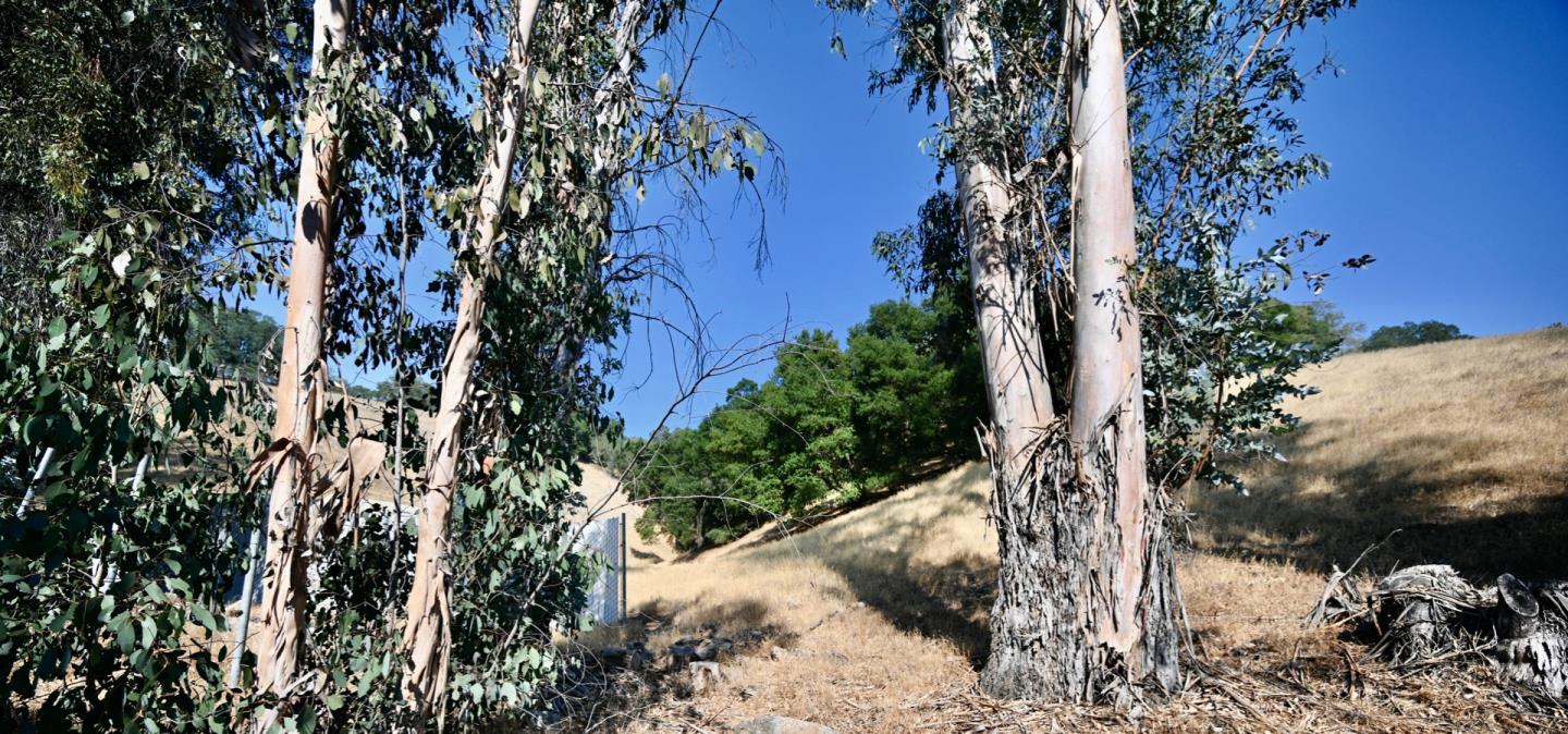 1860 Llagas Road, MORGAN HILL, California 95037, ,Lots And Land,For Sale,Llagas Road,40965769