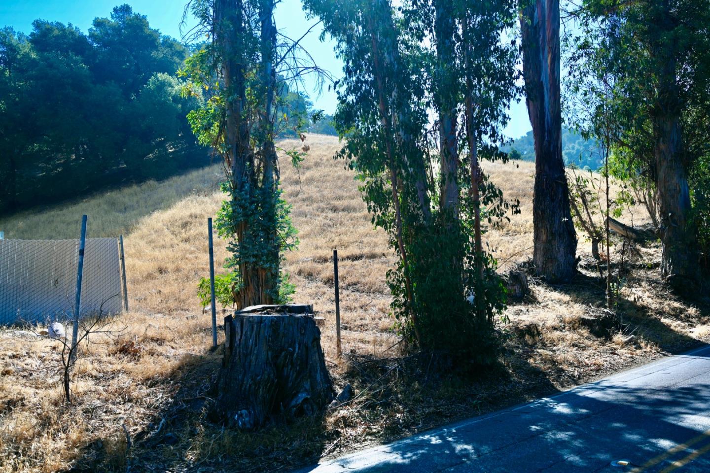 Detail Gallery Image 15 of 20 For 1860 Llagas Rd, Morgan Hill,  CA 95037 - – Beds | – Baths