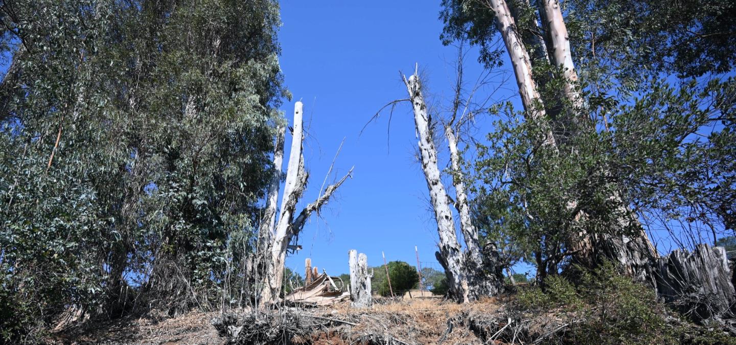 1860 Llagas Road, MORGAN HILL, California 95037, ,Lots And Land,For Sale,Llagas Road,40965769