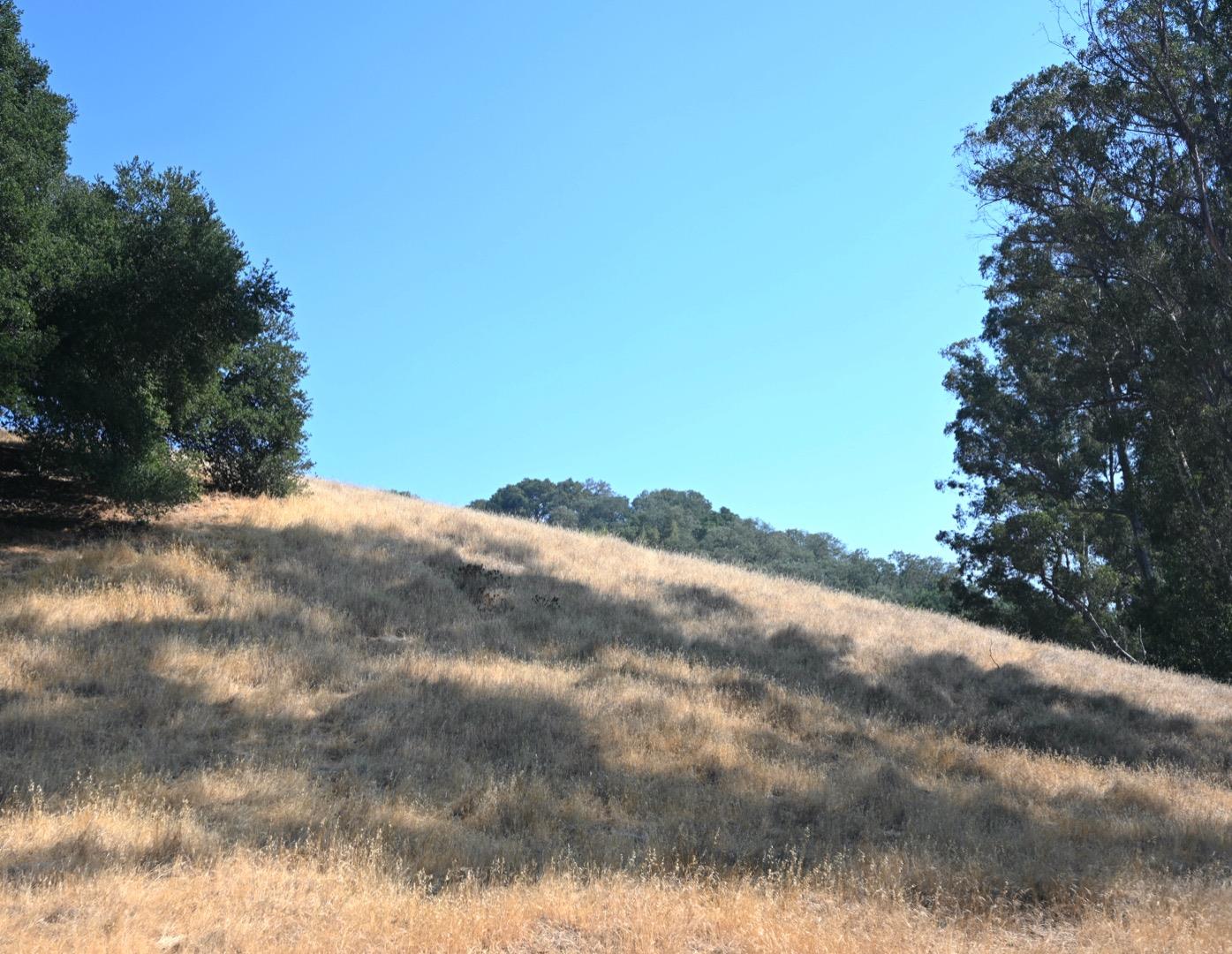 1860 Llagas Road, MORGAN HILL, California 95037, ,Lots And Land,For Sale,Llagas Road,40965769