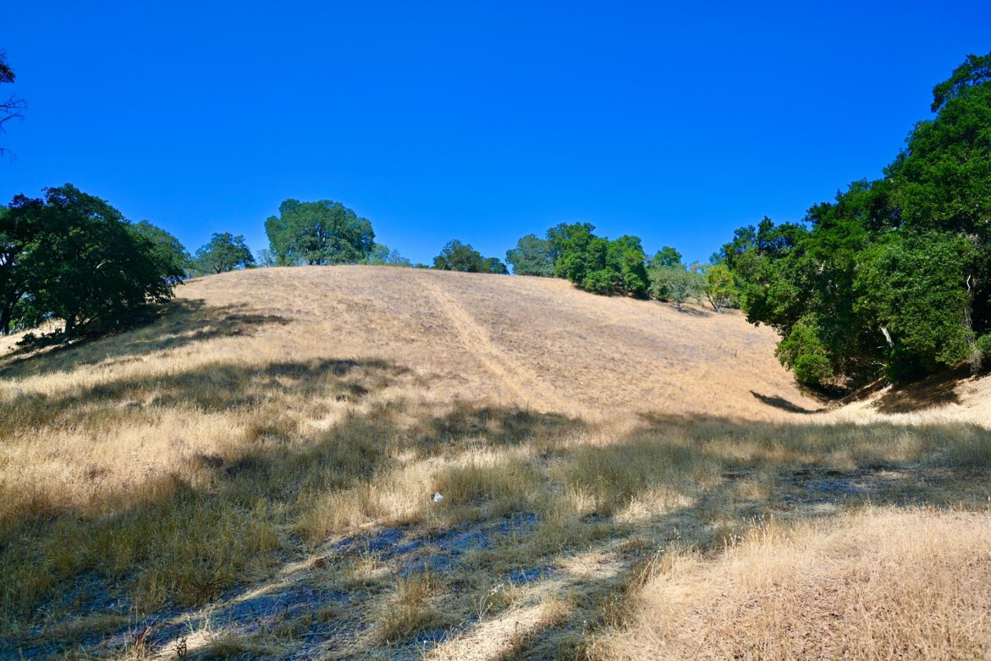 1860 Llagas Road, MORGAN HILL, California 95037, ,Lots And Land,For Sale,Llagas Road,40965769
