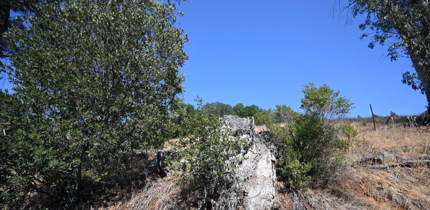 1860 Llagas Road, MORGAN HILL, California 95037, ,Lots And Land,For Sale,Llagas Road,40965769