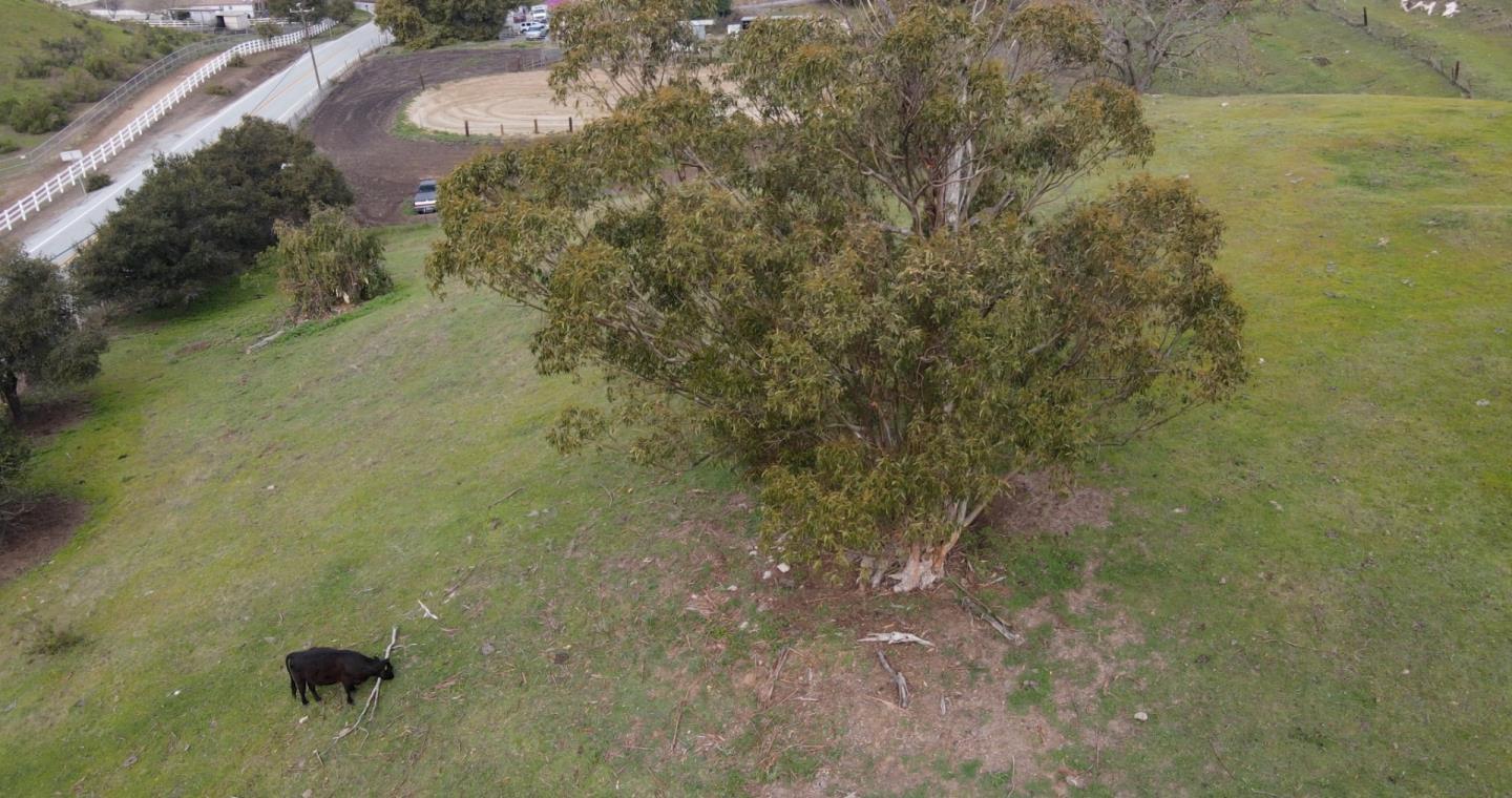3463 Calaveras Road, MILPITAS, California 95035, ,Lots And Land,For Sale,Calaveras Road,40965771