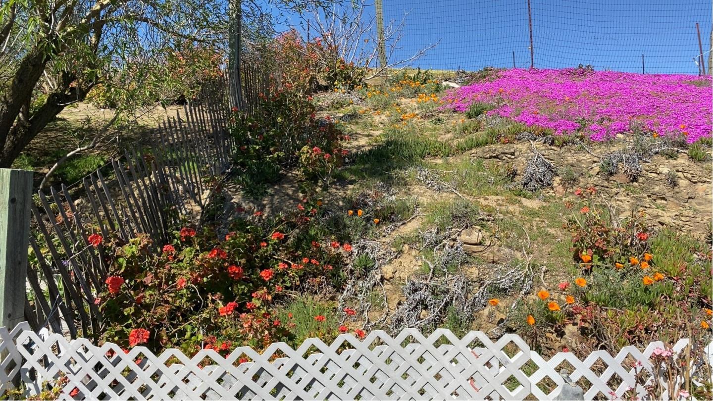 3463 Calaveras Road, MILPITAS, California 95035, ,Lots And Land,For Sale,Calaveras Road,40965771