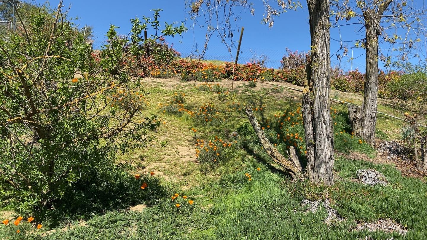 3463 Calaveras Road, MILPITAS, California 95035, ,Lots And Land,For Sale,Calaveras Road,40965771