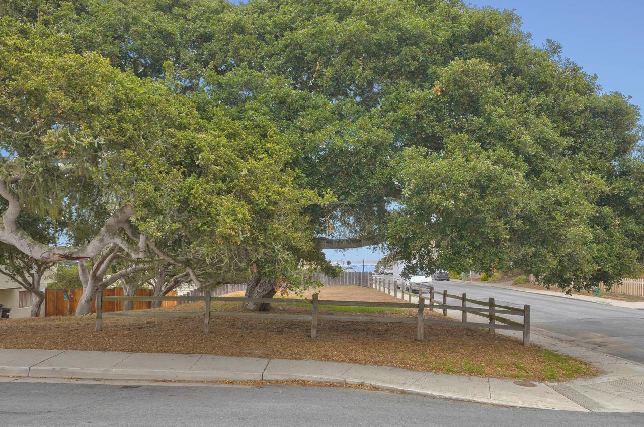 0 Oak Street, MONTEREY, California 93940, ,Lots And Land,For Sale,Oak Street,40965788