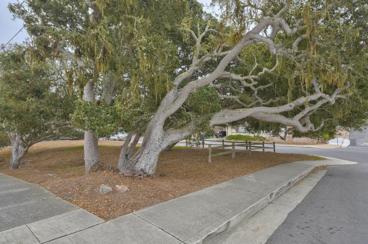 0 Oak Street, MONTEREY, California 93940, ,Lots And Land,For Sale,Oak Street,40965788