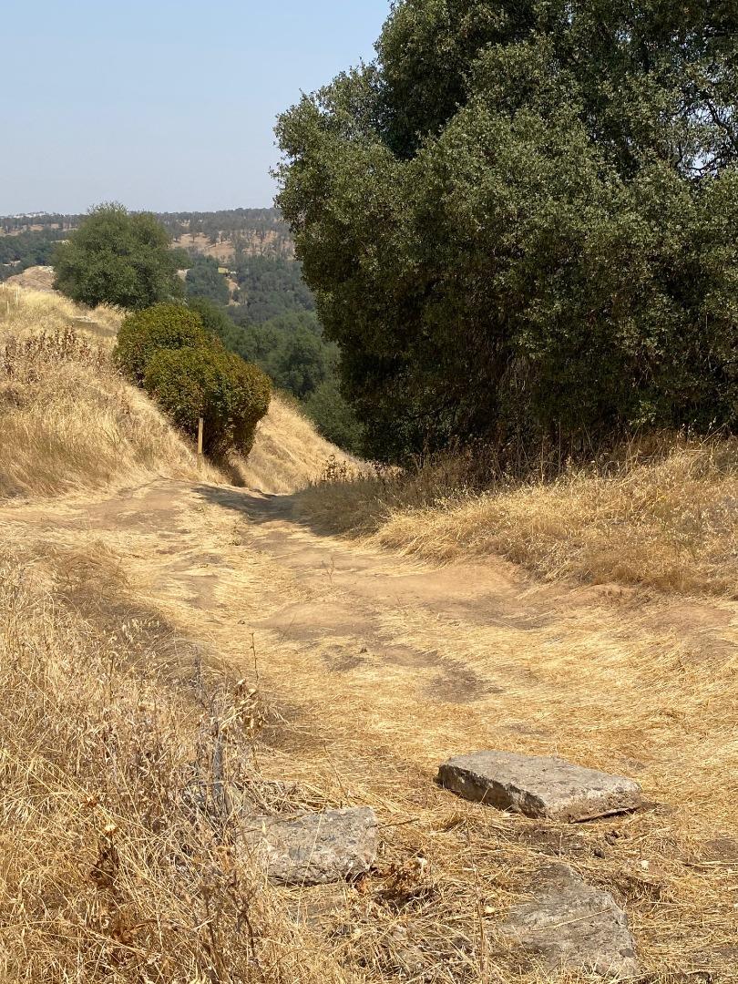 30301 Yosemite Boulevard, LA GRANGE, California 95329, ,Lots And Land,For Sale,Yosemite Boulevard,40965790