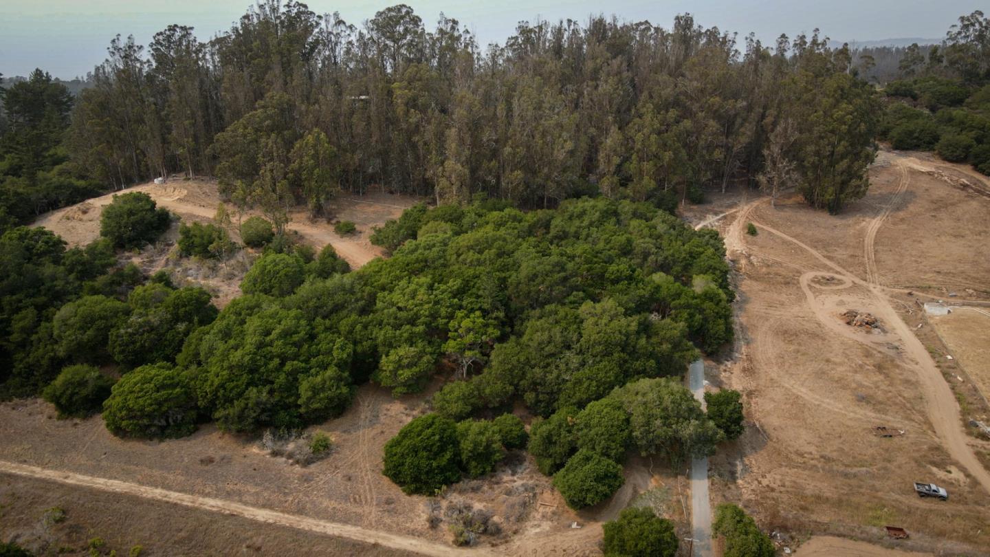 517 Pini Road, ROYAL OAKS, California 95076, ,Lots And Land,For Sale,Pini Road,40965810