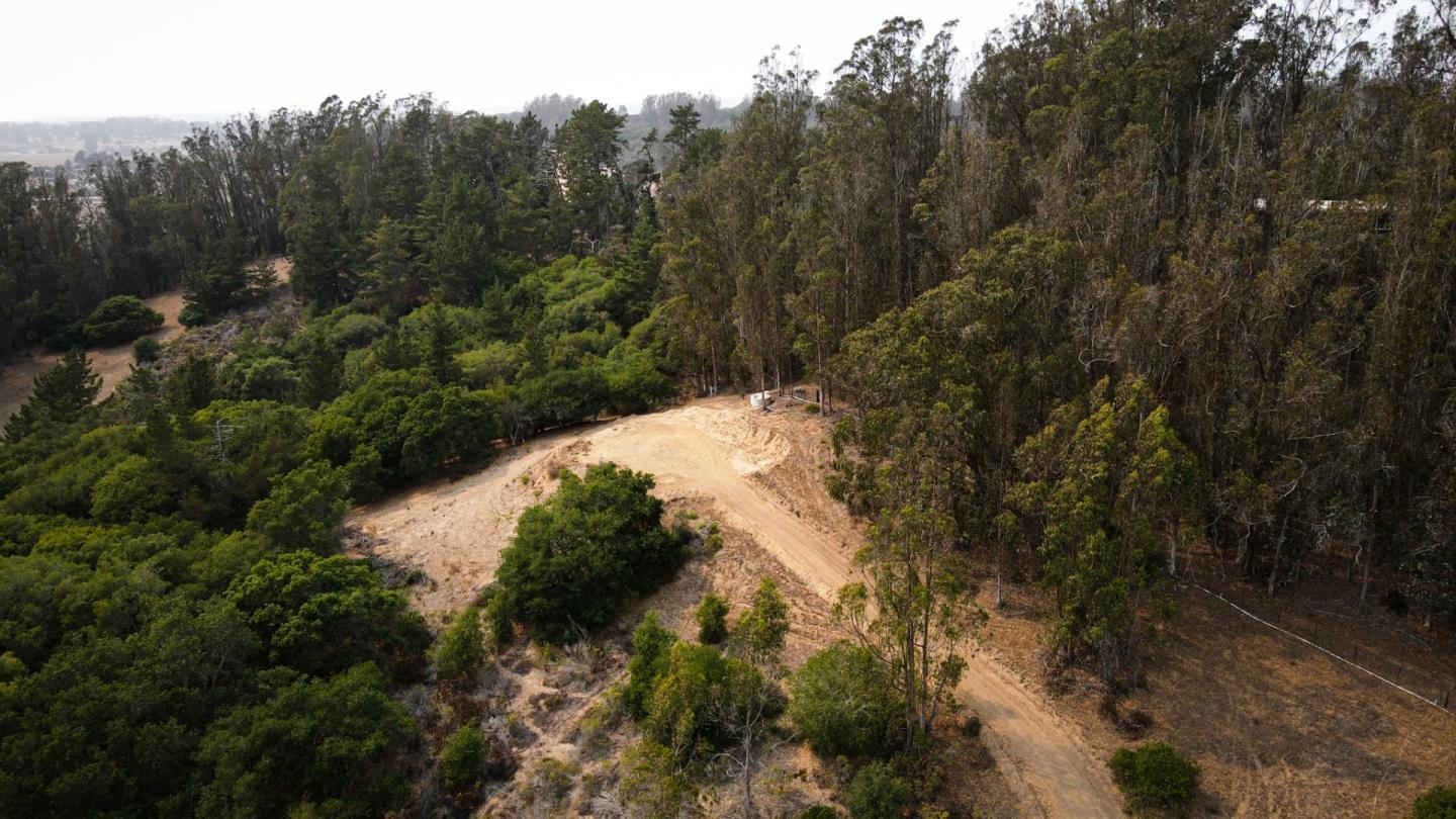 517 Pini Road, ROYAL OAKS, California 95076, ,Lots And Land,For Sale,Pini Road,40965810