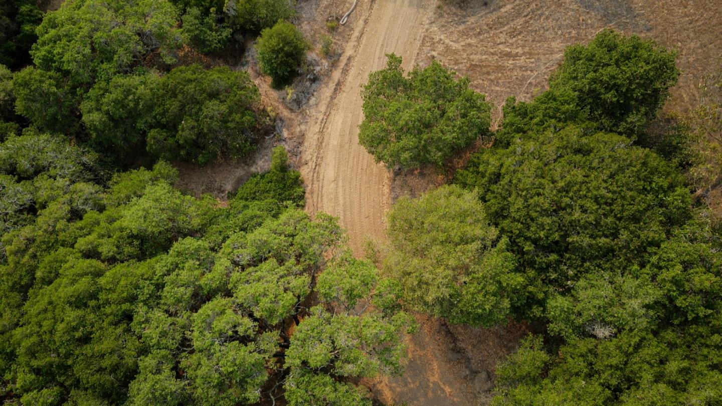517 Pini Road, ROYAL OAKS, California 95076, ,Lots And Land,For Sale,Pini Road,40965810