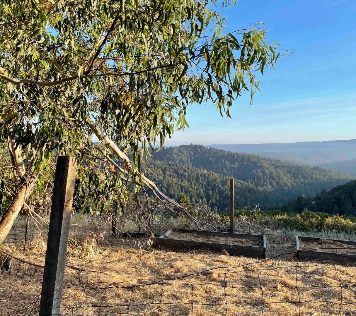 920 & 924 Oak Ridge Road, LOS GATOS, California 95033, ,Lots And Land,For Sale,Oak Ridge Road,40971377
