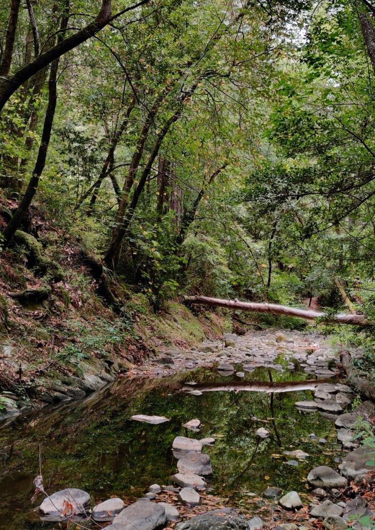15350 Bear Creek Road, BOULDER CREEK, California 95006, ,Lots And Land,For Sale,Bear Creek Road,40965913