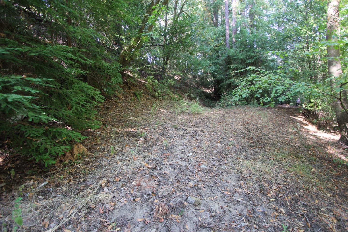 15350 Bear Creek Road, BOULDER CREEK, California 95006, ,Lots And Land,For Sale,Bear Creek Road,40965913