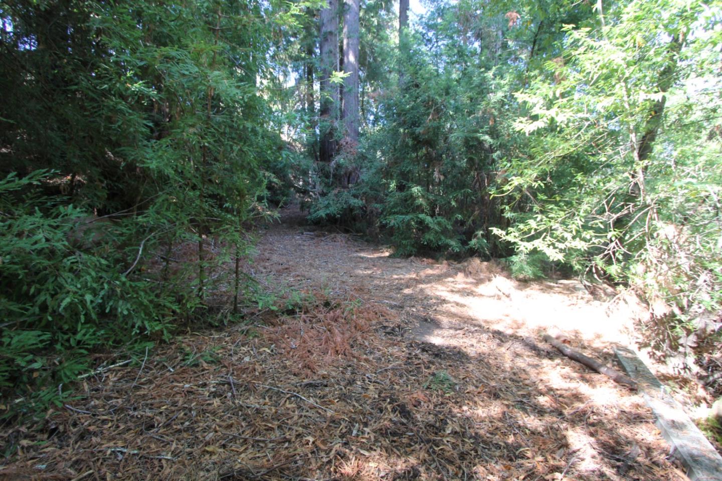 15350 Bear Creek Road, BOULDER CREEK, California 95006, ,Lots And Land,For Sale,Bear Creek Road,40965913