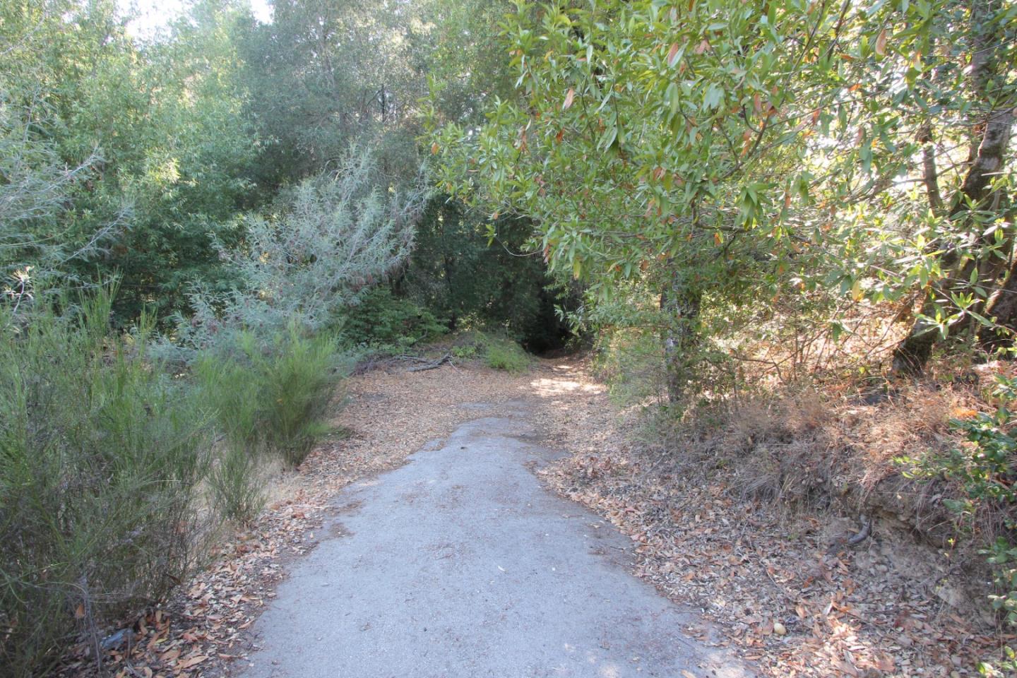 15350 Bear Creek Road, BOULDER CREEK, California 95006, ,Lots And Land,For Sale,Bear Creek Road,40965913