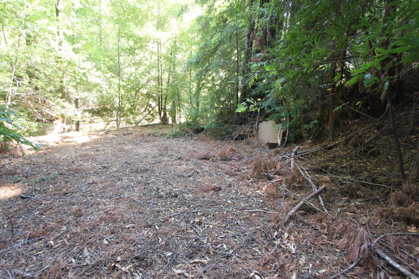 15350 Bear Creek Road, BOULDER CREEK, California 95006, ,Lots And Land,For Sale,Bear Creek Road,40965913