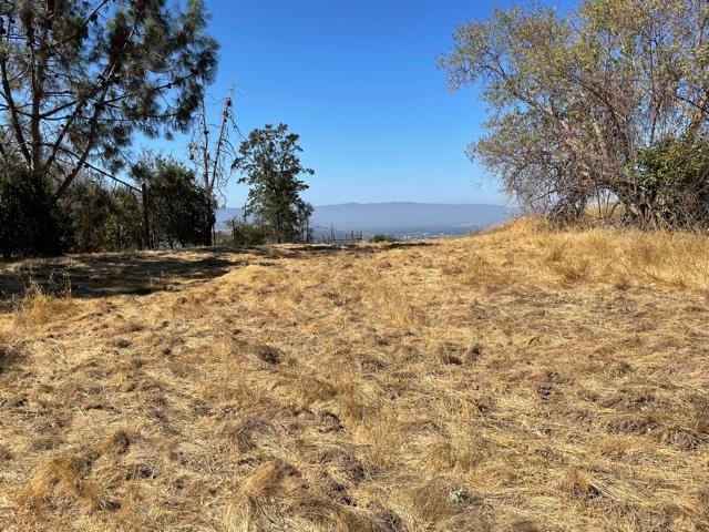 3660 Pleasant Knoll Court, SAN JOSE, California 95148, ,Lots And Land,For Sale,Pleasant Knoll Court,40969577