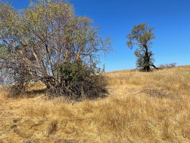 3660 Pleasant Knoll Court, SAN JOSE, California 95148, ,Lots And Land,For Sale,Pleasant Knoll Court,40969577