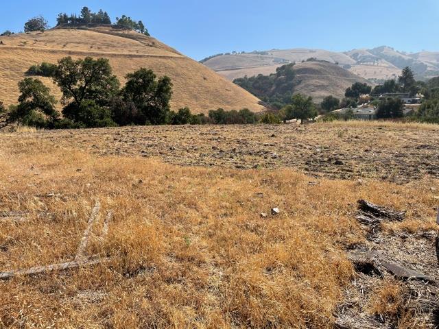 3660 Pleasant Knoll Court, SAN JOSE, California 95148, ,Lots And Land,For Sale,Pleasant Knoll Court,40969577