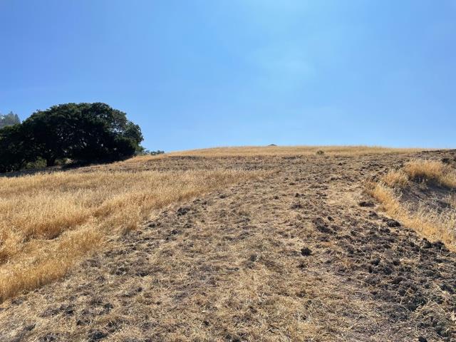 3660 Pleasant Knoll Court, SAN JOSE, California 95148, ,Lots And Land,For Sale,Pleasant Knoll Court,40969577