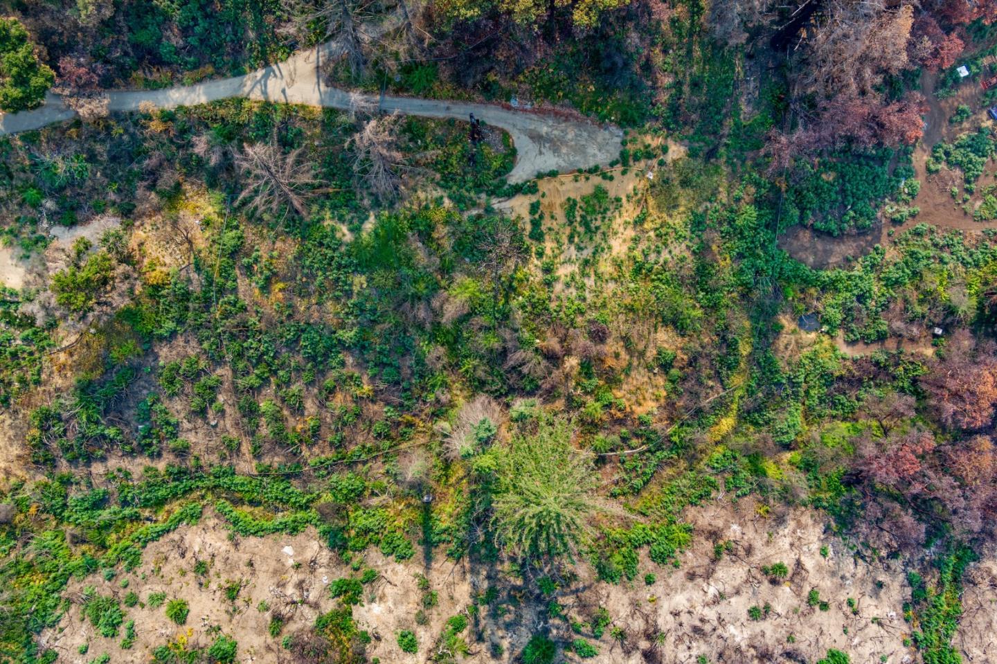 225 San Vicente Terrace, SANTA CRUZ, California 95060, ,Lots And Land,For Sale,San Vicente Terrace,40965988