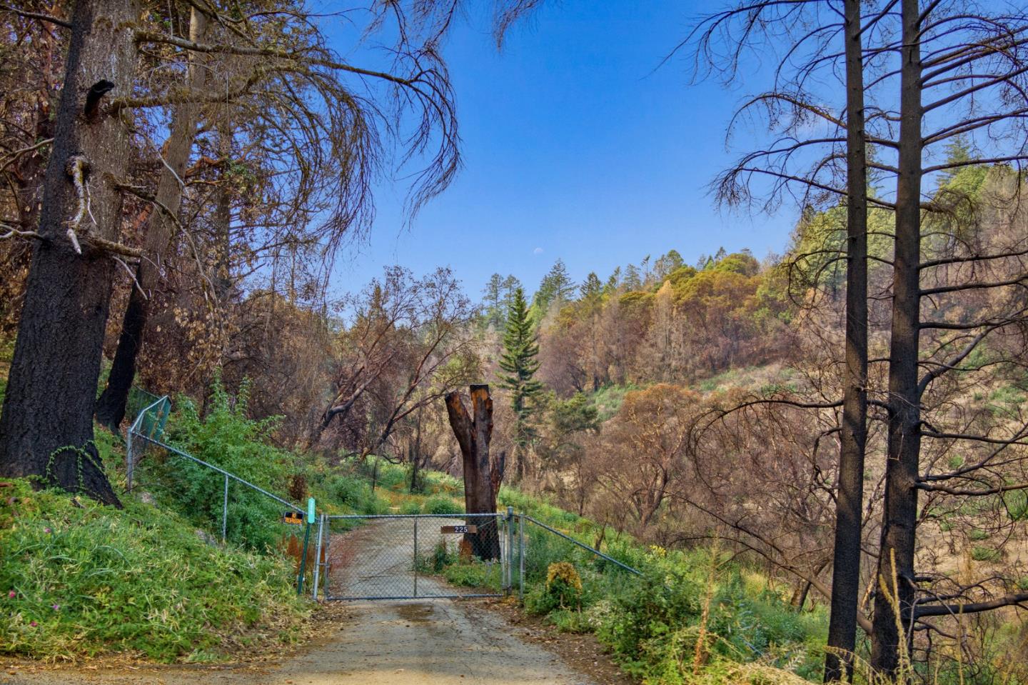225 San Vicente Terrace, SANTA CRUZ, California 95060, ,Lots And Land,For Sale,San Vicente Terrace,40965988