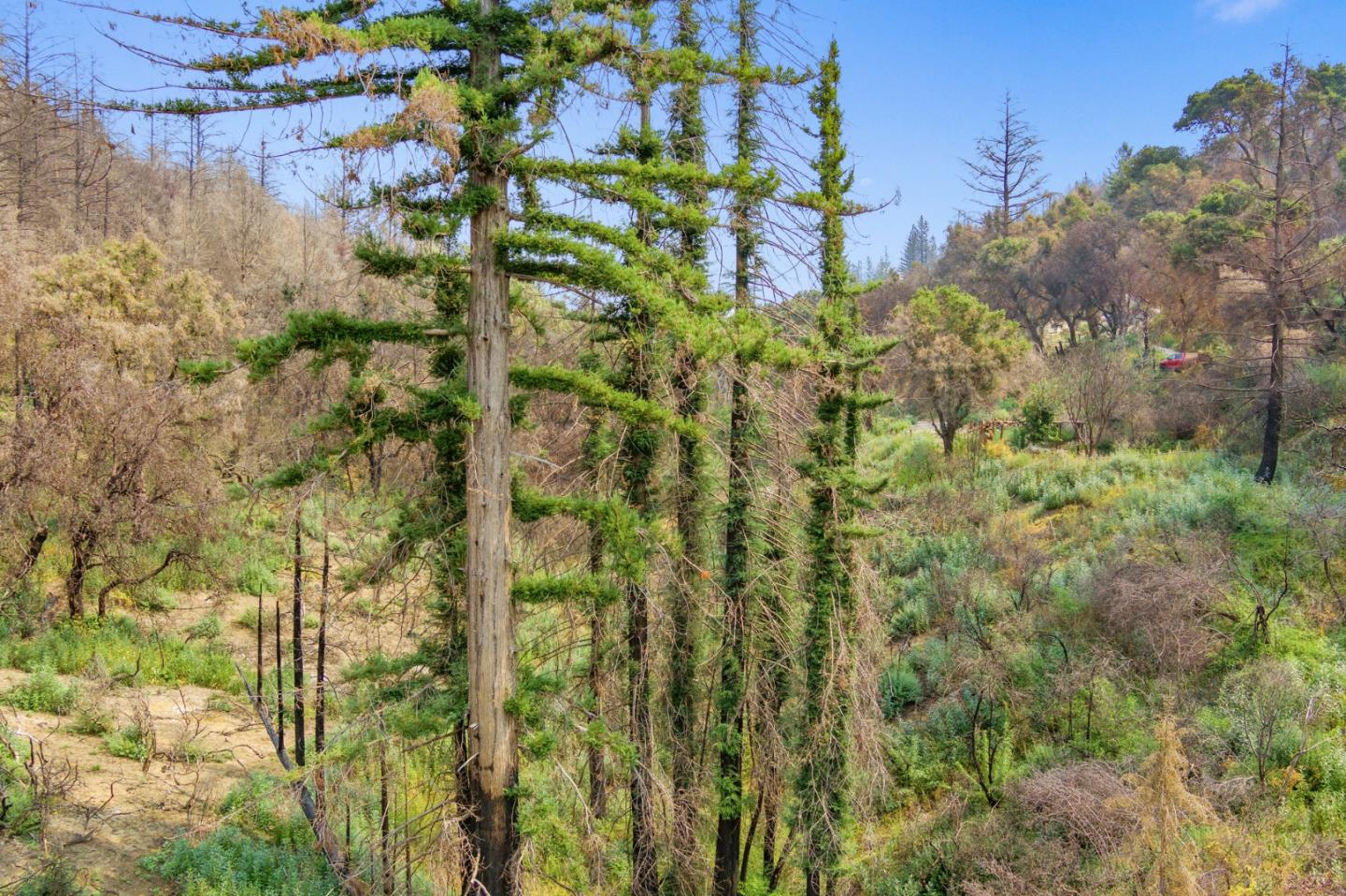 225 San Vicente Terrace, SANTA CRUZ, California 95060, ,Lots And Land,For Sale,San Vicente Terrace,40965988