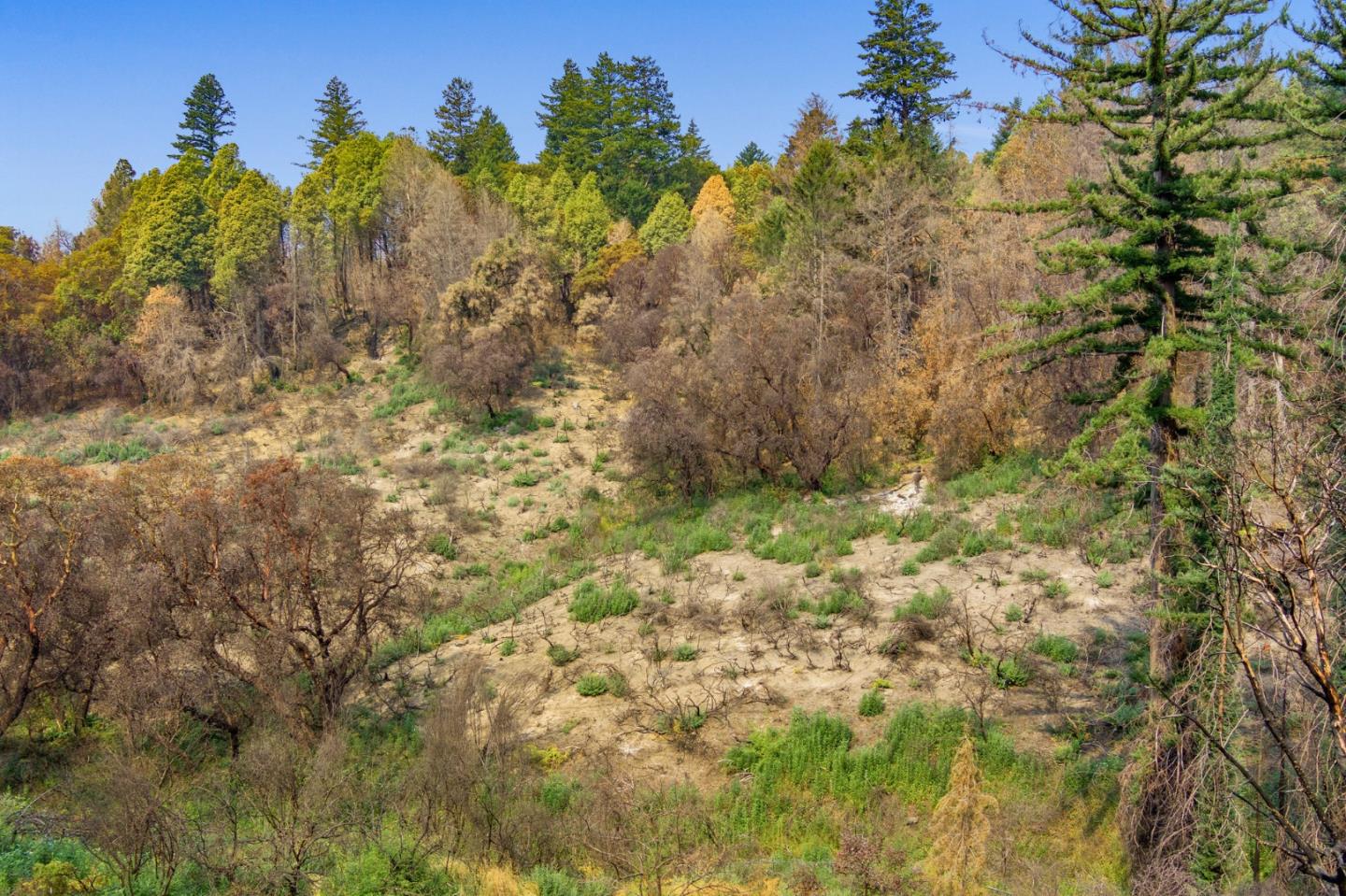 225 San Vicente Terrace, SANTA CRUZ, California 95060, ,Lots And Land,For Sale,San Vicente Terrace,40965988