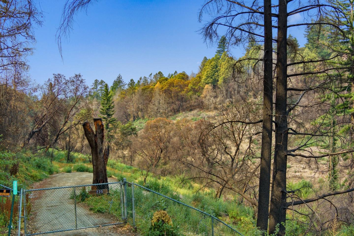 225 San Vicente Terrace, SANTA CRUZ, California 95060, ,Lots And Land,For Sale,San Vicente Terrace,40965988