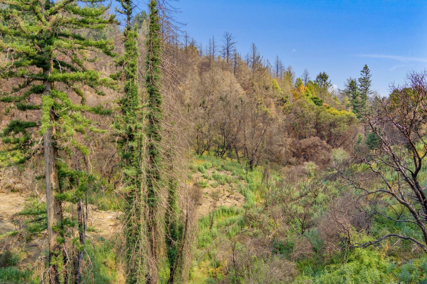 225 San Vicente Terrace, SANTA CRUZ, California 95060, ,Lots And Land,For Sale,San Vicente Terrace,40965988
