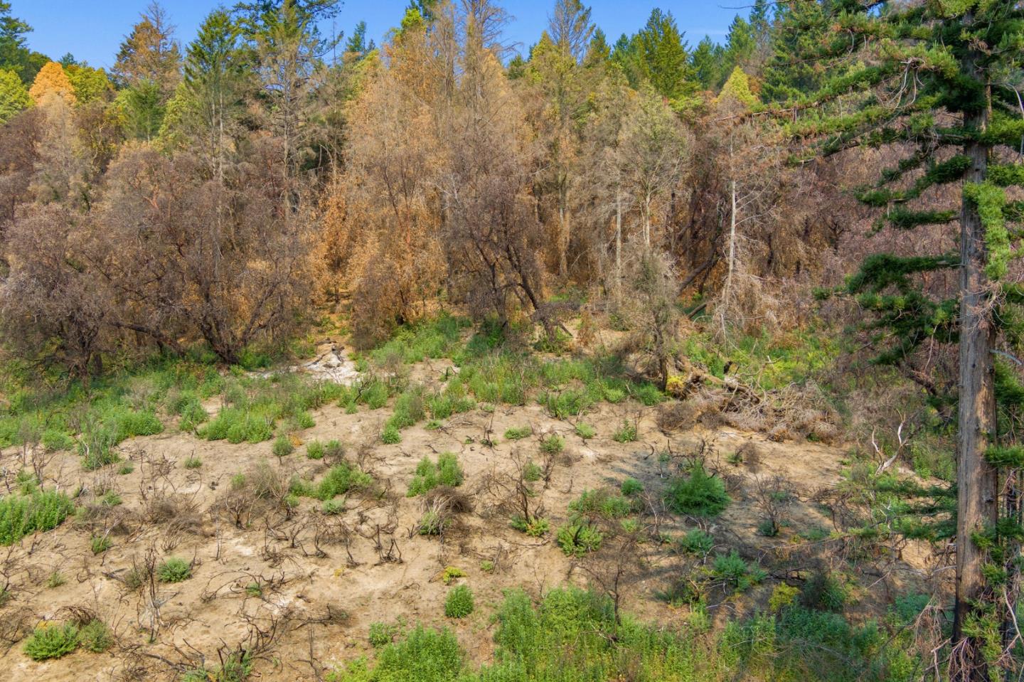 225 San Vicente Terrace, SANTA CRUZ, California 95060, ,Lots And Land,For Sale,San Vicente Terrace,40965988