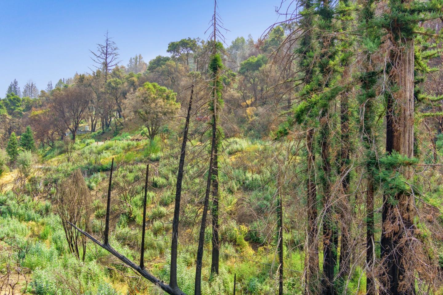 225 San Vicente Terrace, SANTA CRUZ, California 95060, ,Lots And Land,For Sale,San Vicente Terrace,40965988