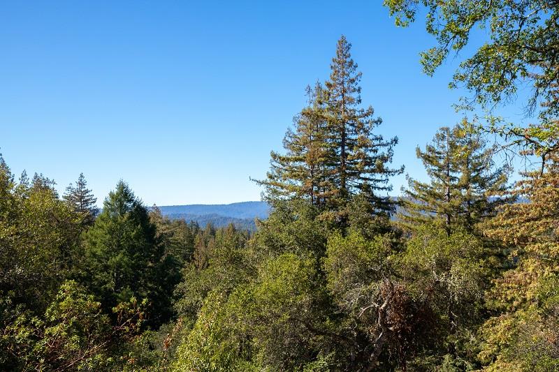 3500 Bear Canyon Road, LOS GATOS, California 95033, ,Lots And Land,For Sale,Bear Canyon Road,40965998