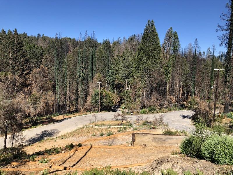 230 Fern Rock Way, BOULDER CREEK, California 95006, ,Lots And Land,For Sale,Fern Rock Way,40966106