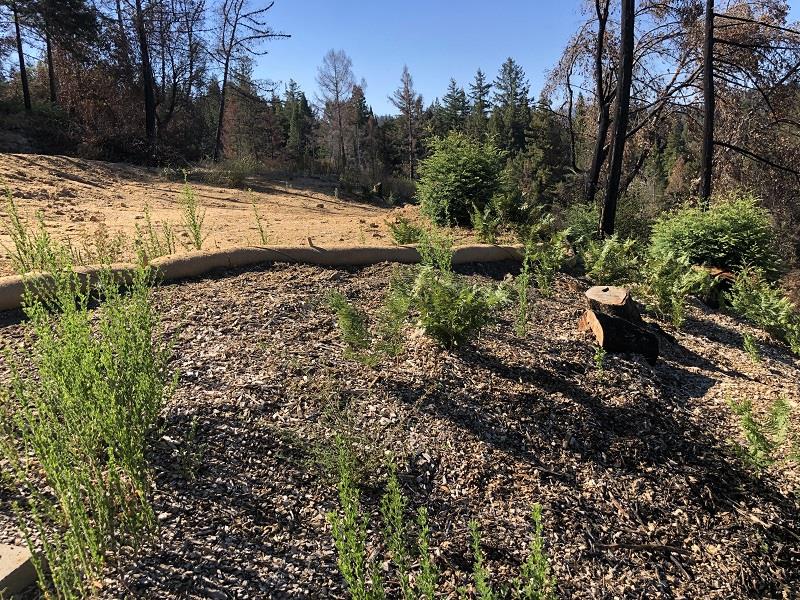 230 Fern Rock Way, BOULDER CREEK, California 95006, ,Lots And Land,For Sale,Fern Rock Way,40966106