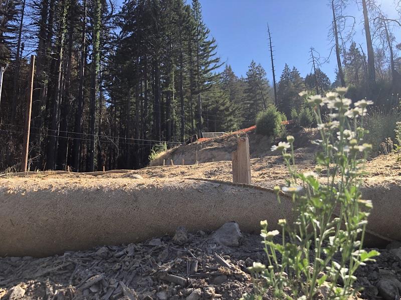 230 Fern Rock Way, BOULDER CREEK, California 95006, ,Lots And Land,For Sale,Fern Rock Way,40966106