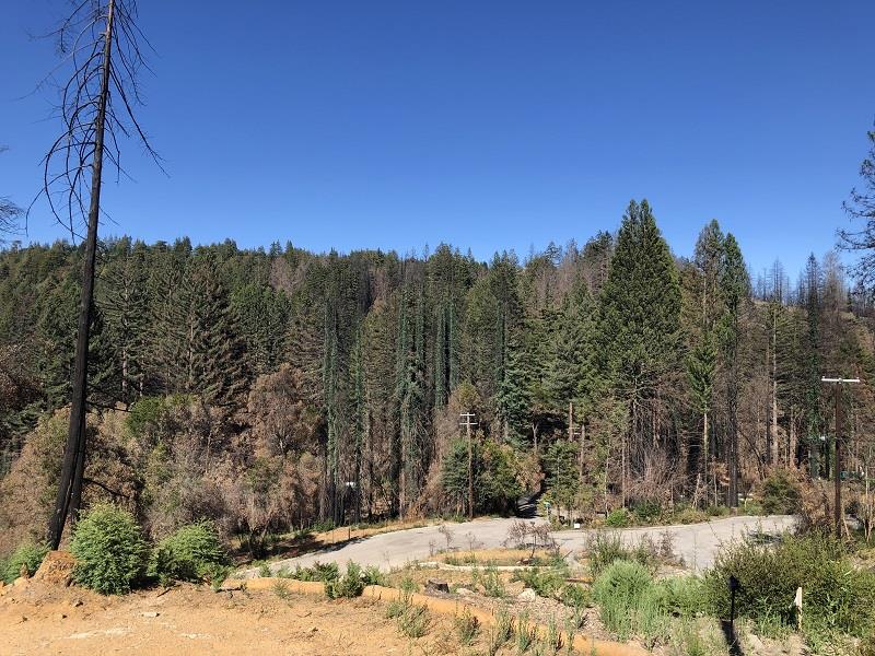 230 Fern Rock Way, BOULDER CREEK, California 95006, ,Lots And Land,For Sale,Fern Rock Way,40966106