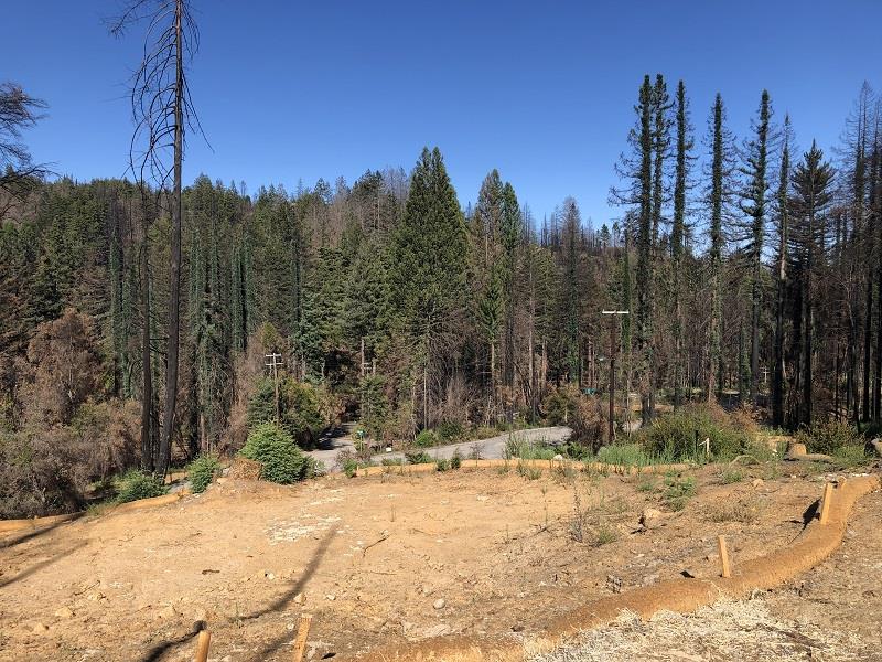 230 Fern Rock Way, BOULDER CREEK, California 95006, ,Lots And Land,For Sale,Fern Rock Way,40966106