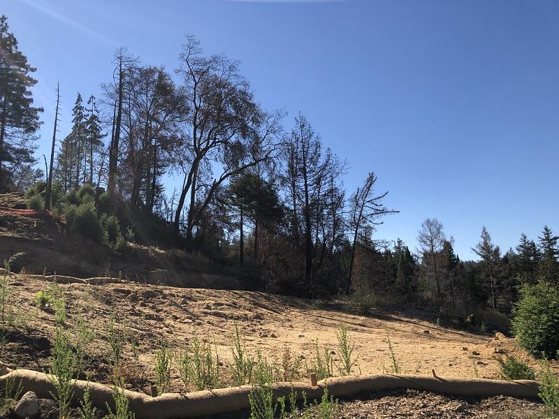 230 Fern Rock Way, BOULDER CREEK, California 95006, ,Lots And Land,For Sale,Fern Rock Way,40966106