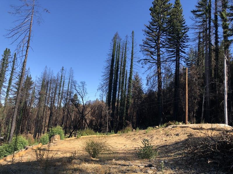230 Fern Rock Way, BOULDER CREEK, California 95006, ,Lots And Land,For Sale,Fern Rock Way,40966106