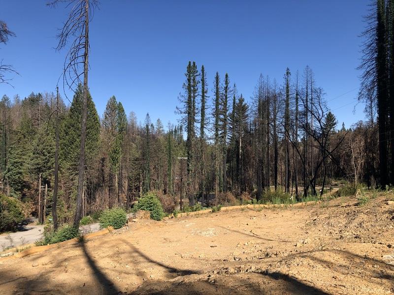 230 Fern Rock Way, BOULDER CREEK, California 95006, ,Lots And Land,For Sale,Fern Rock Way,40966106