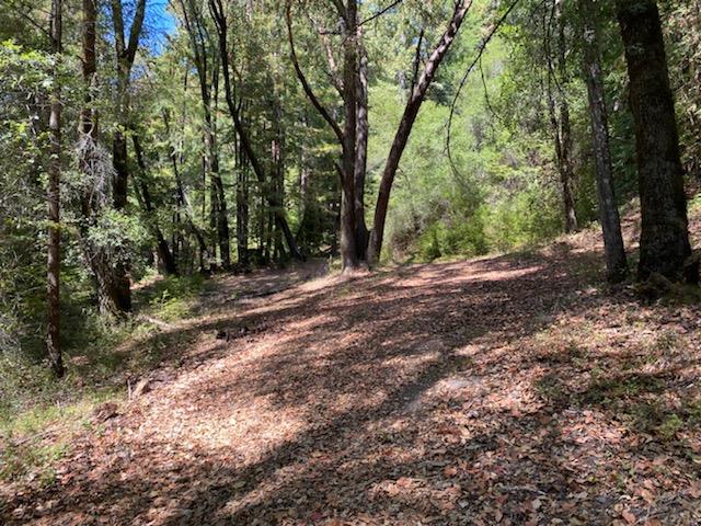 Detail Gallery Image 1 of 1 For Lot 01 Highway 9, Boulder Creek,  CA 95006 - – Beds | – Baths