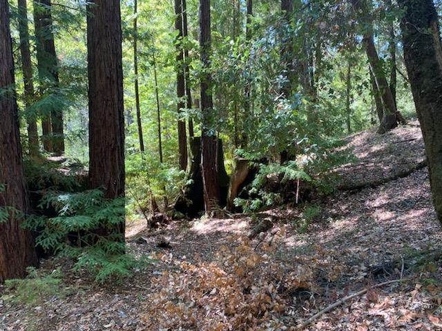 Lot 01 Highway 9, BOULDER CREEK, California 95006, ,Lots And Land,For Sale,Highway 9,40966107