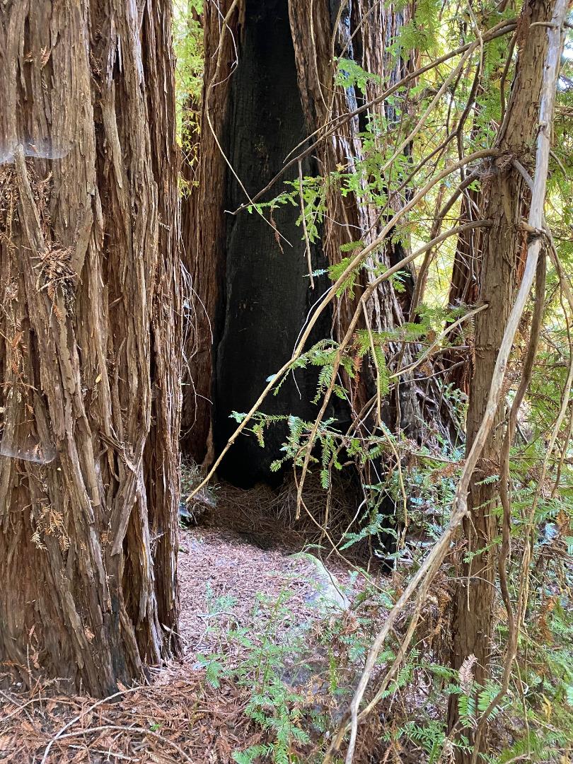 Lot 01 Highway 9, BOULDER CREEK, California 95006, ,Lots And Land,For Sale,Highway 9,40966107