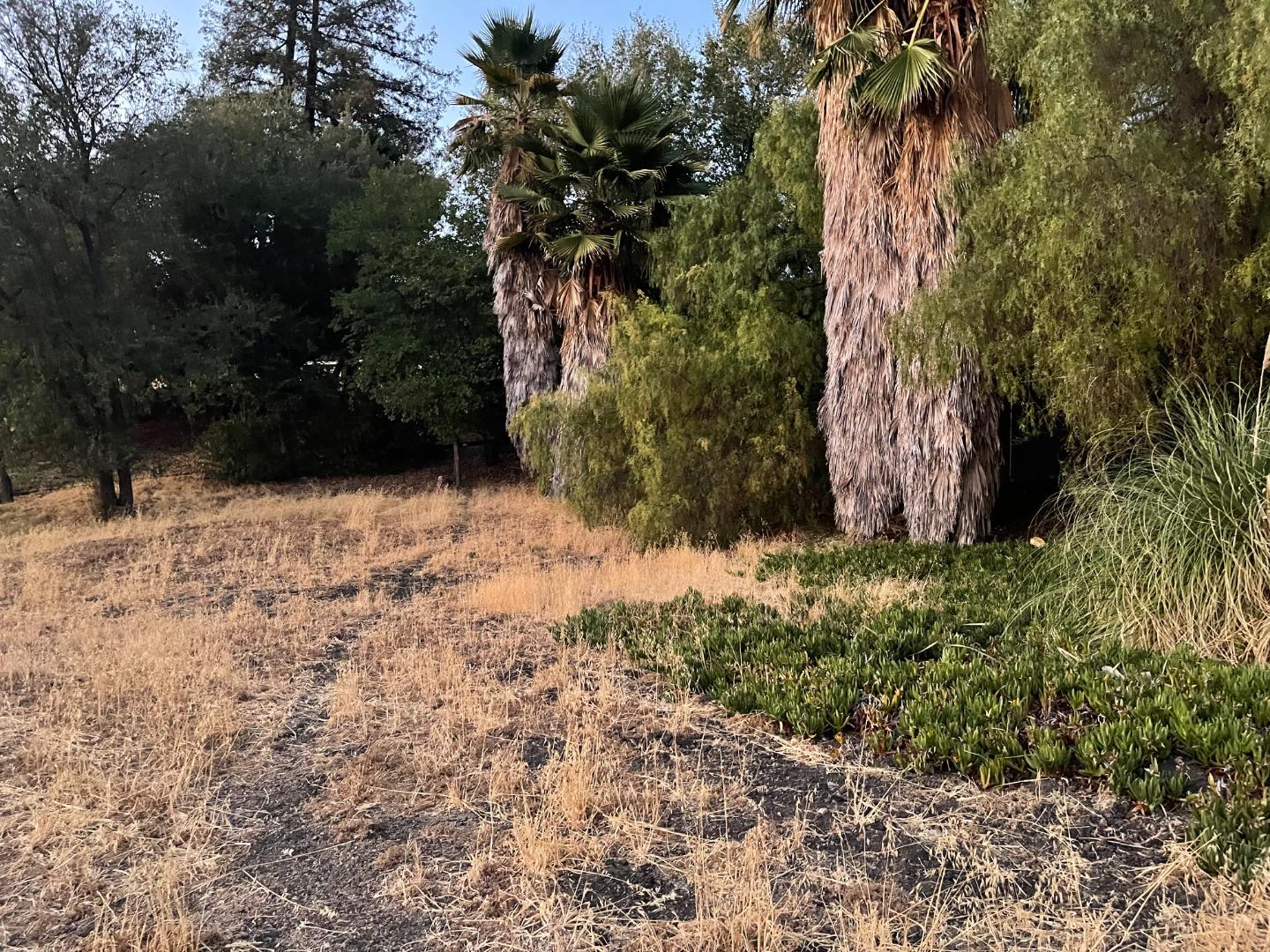 0 Noble Lane, SAN JOSE, California 95132, ,Lots And Land,For Sale,Noble Lane,40967432