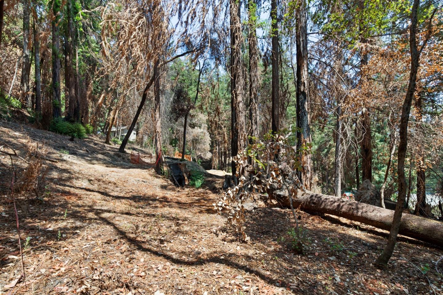 565 Locksley Road, BOULDER CREEK, California 95006, ,Lots And Land,For Sale,Locksley Road,40967442