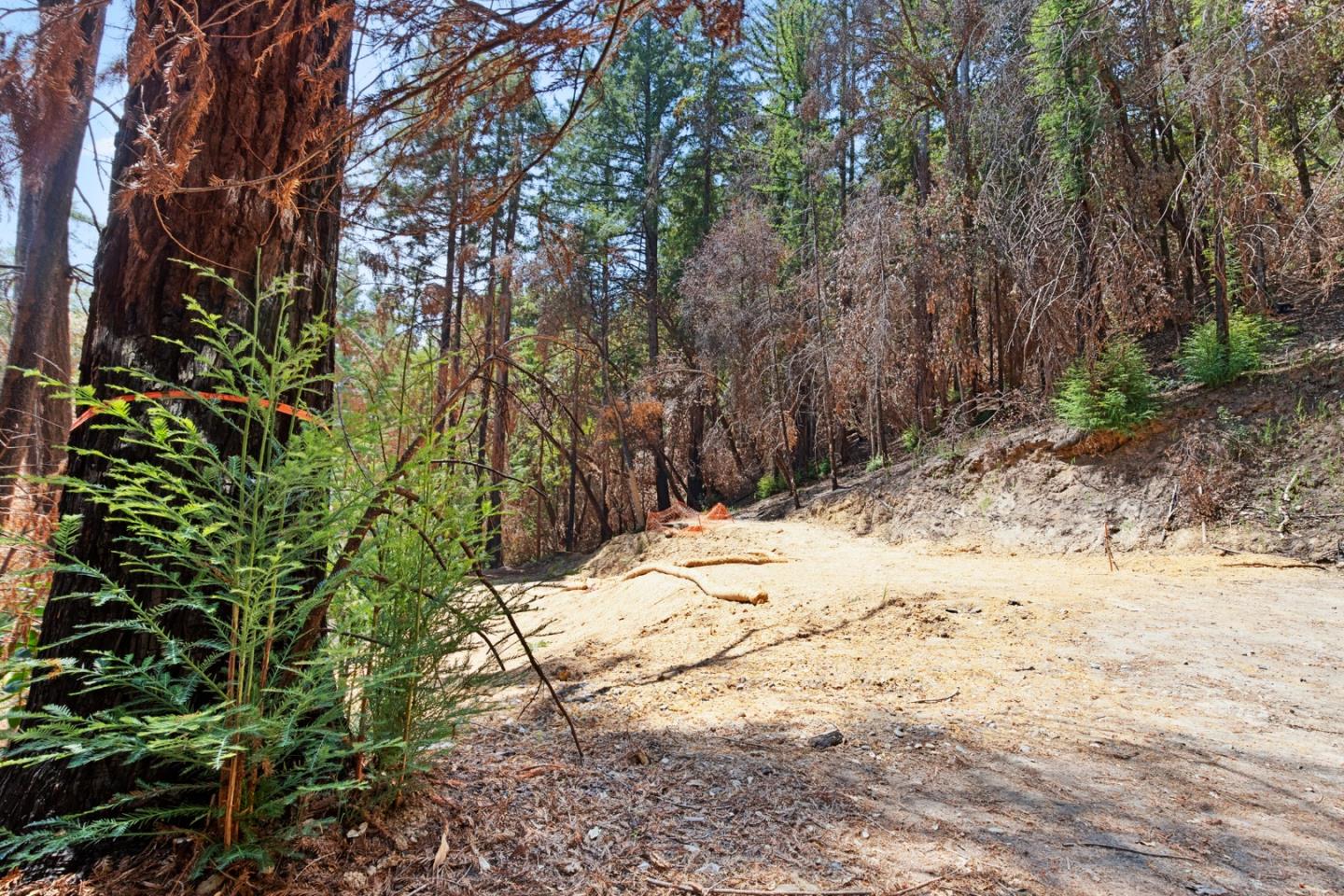 565 Locksley Road, BOULDER CREEK, California 95006, ,Lots And Land,For Sale,Locksley Road,40967442