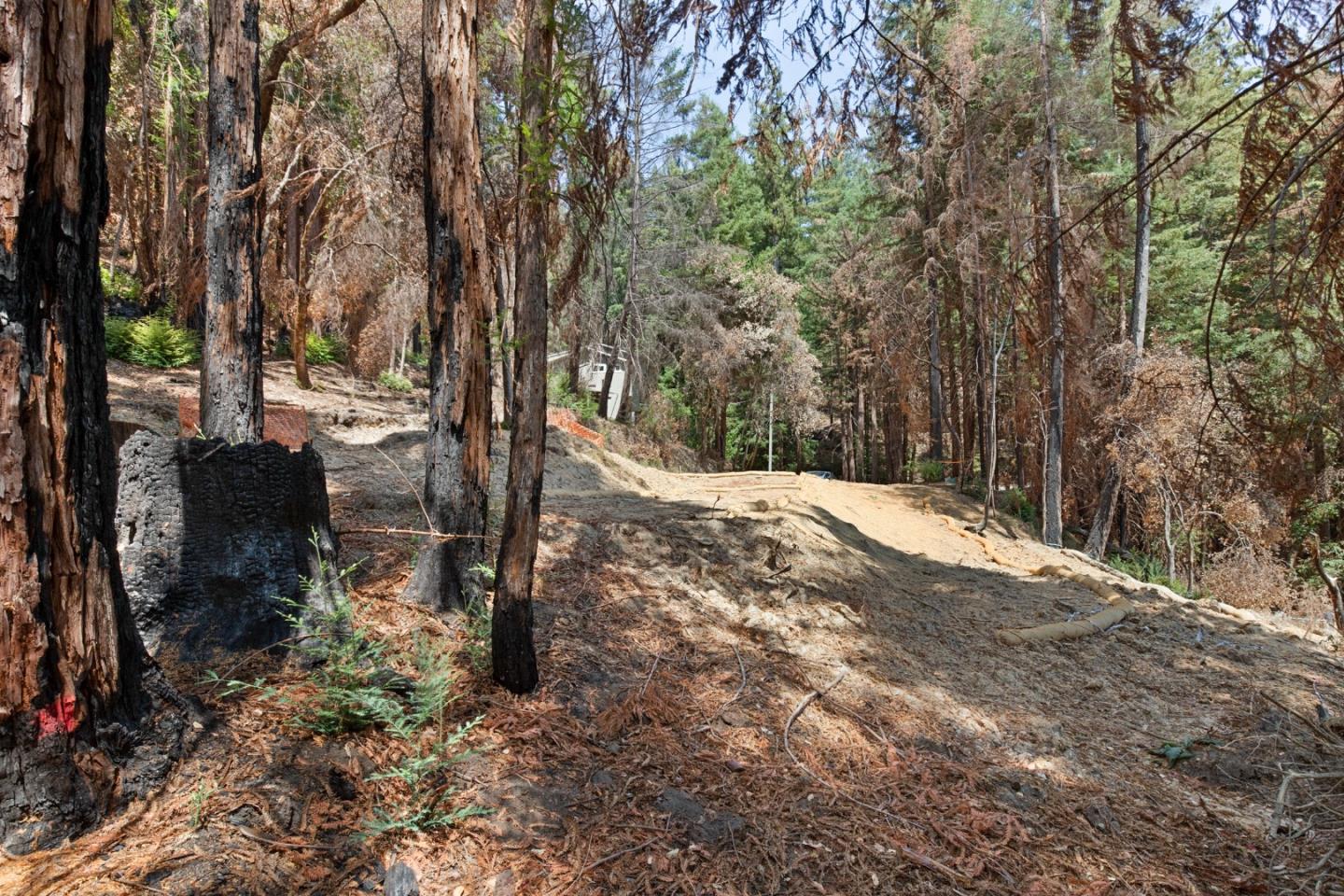 565 Locksley Road, BOULDER CREEK, California 95006, ,Lots And Land,For Sale,Locksley Road,40967442